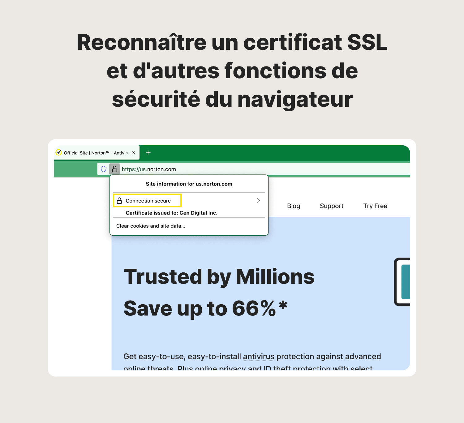 Image montrant le certificat SSL et d'autres informations de sécurité lors de l'utilisation d'un navigateur web.