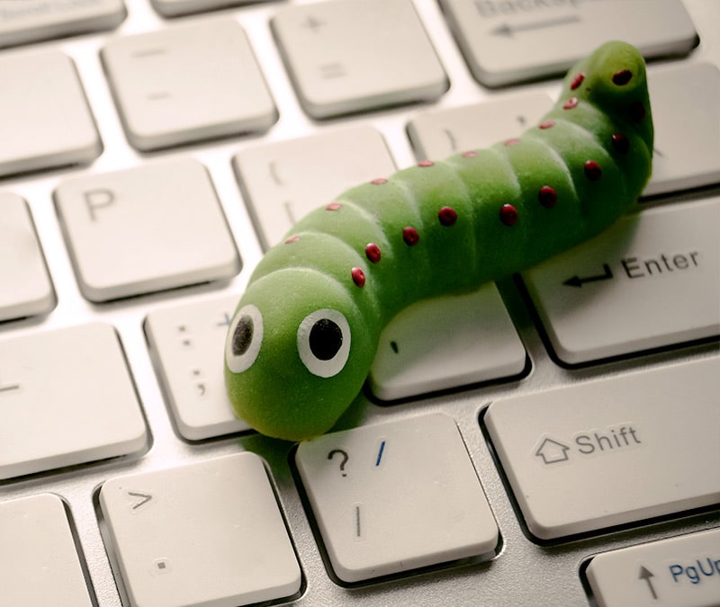 Image d'un ver informatique rampant sur le clavier.