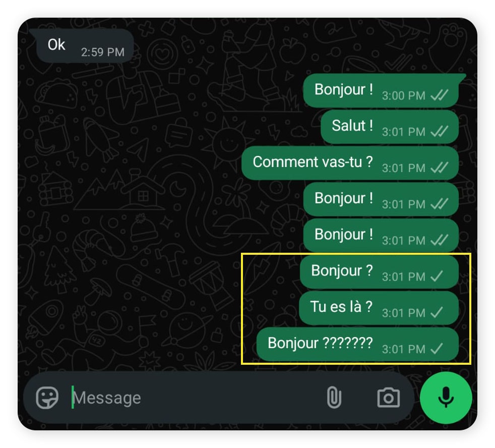 Capture d'écran d'un message WhatsApp non remis car l'expéditeur a été bloqué.