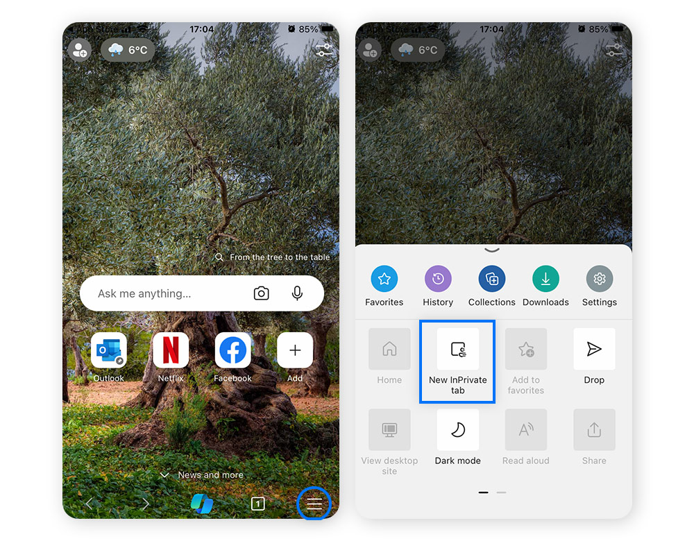 Capture d'écran du menu Edge sur mobile > Nouvelle fenêtre InPrivate.