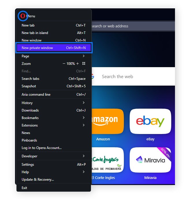 Capture d'écran du menu Opera > Nouvelle fenêtre privée.
