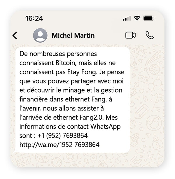 Une conversation illustrant une escroquerie à la crypto sur WhatsApp.